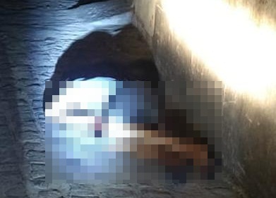 Carroceiro é morto a facadas em Caruaru