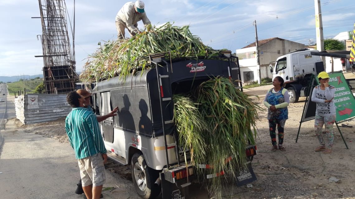 Confira os números do 1° dia da Operação Carnaval da PRF na BR-104