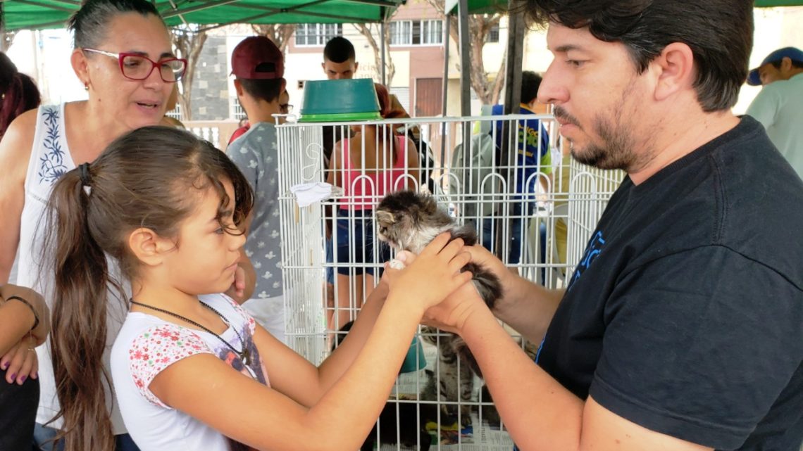 Adoção de animais em Caruaru nesta sexta (22) Adoção de animais em Caruaru nesta sexta (22)