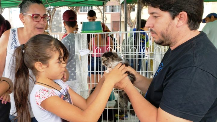 Adoção de animais em Caruaru nesta sexta (22)
