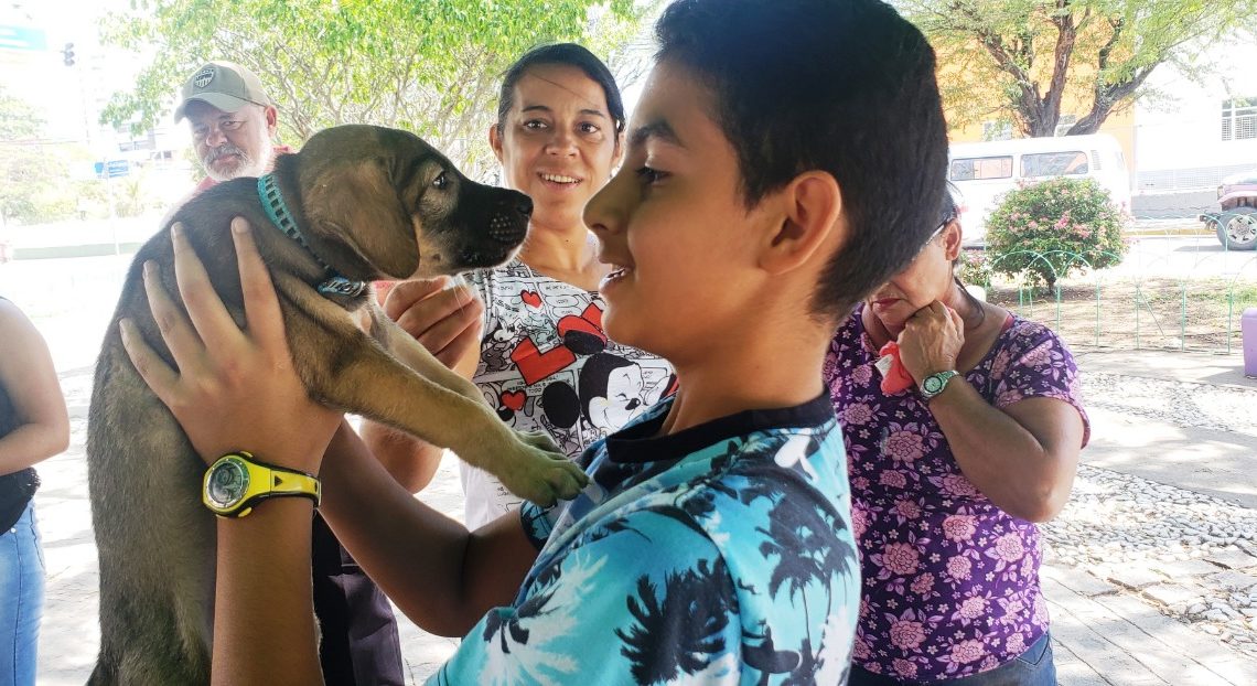 Instituto Quatro Patas realizará mais um evento de adoção de animais Instituto Quatro Patas realizará mais um evento de adoção de animais
