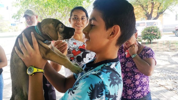 Instituto Quatro Patas realizará mais um evento de adoção de animais