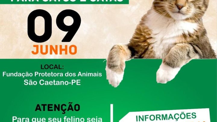 I Grande Mutirão de Castração em São Caitano