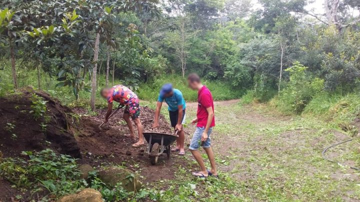 Socioeducandos da Funase participam de projeto de reflorestamento ambiental
