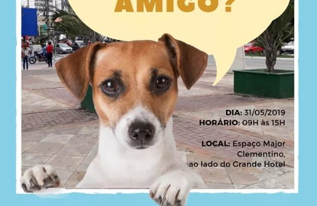 instituto Quatro Patas realiza evento de adoção de animais nesta sexta (31)