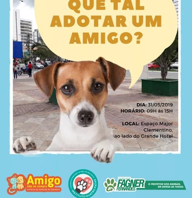 instituto Quatro Patas realiza evento de adoção de animais nesta sexta (31) instituto Quatro Patas realiza evento de adoção de animais nesta sexta (31)