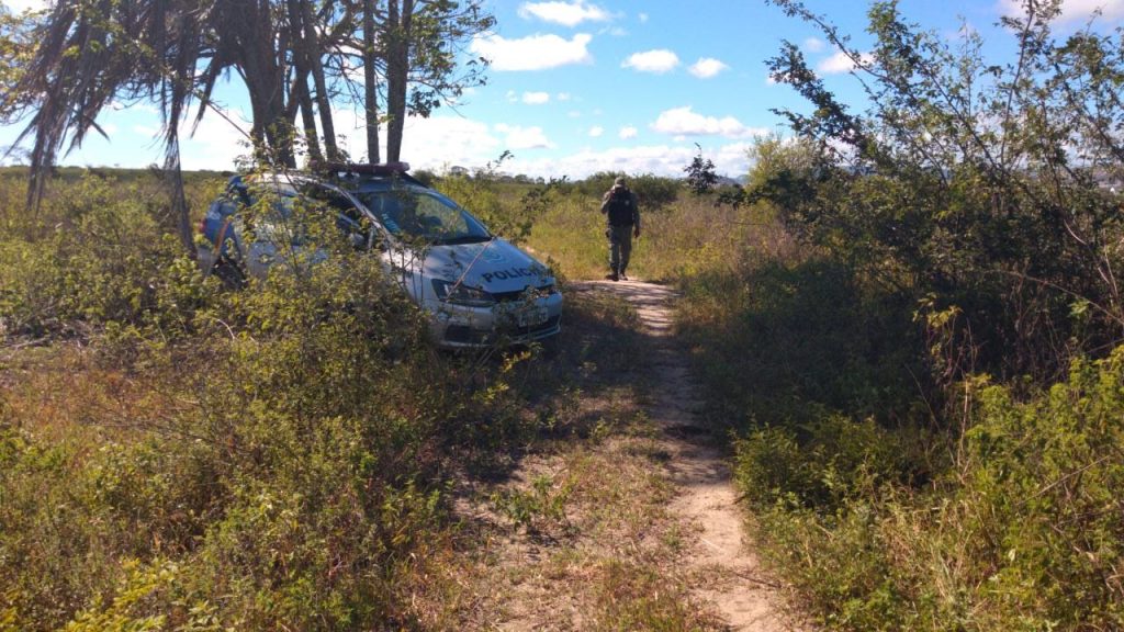 Ossada humana é localizada em Caruaru