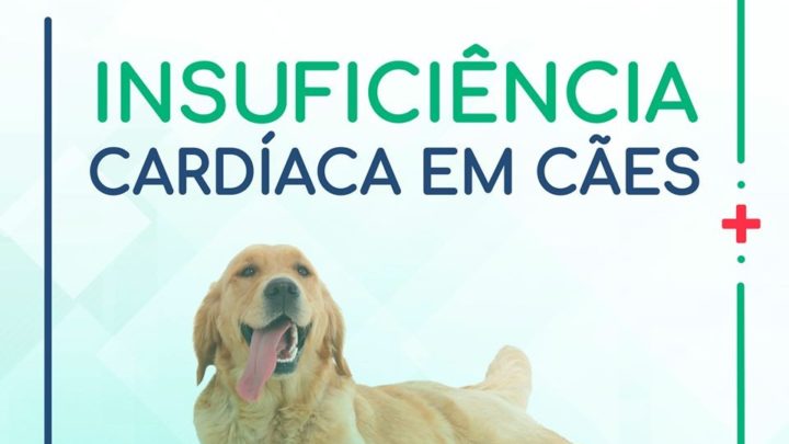 CVJR: Cães tem insuficiência cardíaca