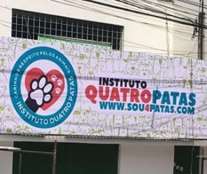 Instituto Quatro Patas realiza seleção para contratação de veterinários plantonistas