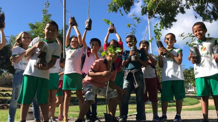 Prefeitura de Caruaru faz plantio de mudas nos parques urbanos do município