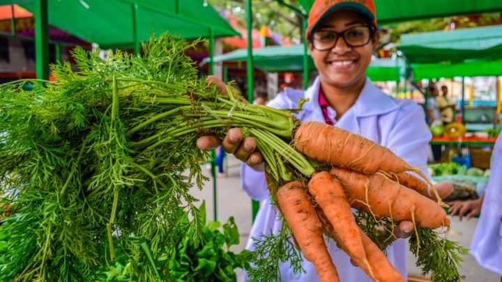 Dia da Agricultura Familiar será comemorado na Estação Ferroviária nesta quinta (25)