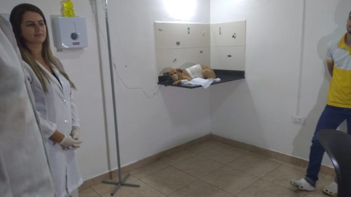 Acusada de jogar soda cáustica em cadela é levada para a delegacia de Belo Jardim