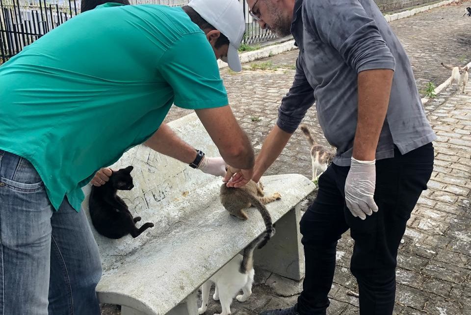 Mais de 14 mil animais vacinados contra raiva na segunda etapa da antirrábica em Caruaru Mais de 14 mil animais vacinados contra raiva na segunda etapa da antirrábica em Caruaru