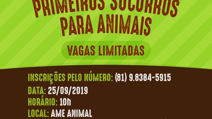 Curso de primeiros socorros para animais em Caruaru