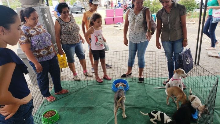 Evento de adoção “Amigo não se compra” será realizado nesta sexta (6)