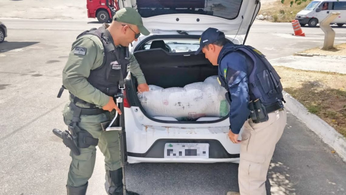 Casal é detido com 15 kg de maconha em São Caetano