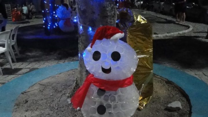 Projeto Decorando Árvores chega ao segundo ano em Caruaru; Confira