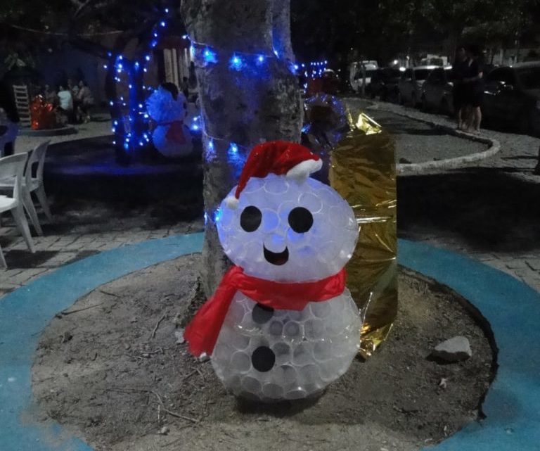Projeto Decorando Árvores chega ao segundo ano em Caruaru; Confira Projeto Decorando Árvores chega ao segundo ano em Caruaru; Confira