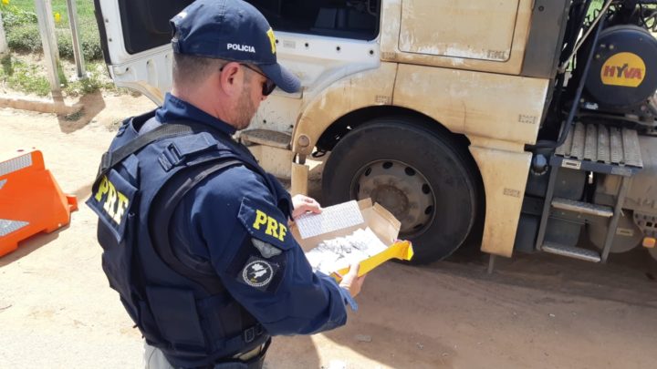 Motorista é preso dirigindo sob efeito de rebite na BR 423 em Garanhuns
