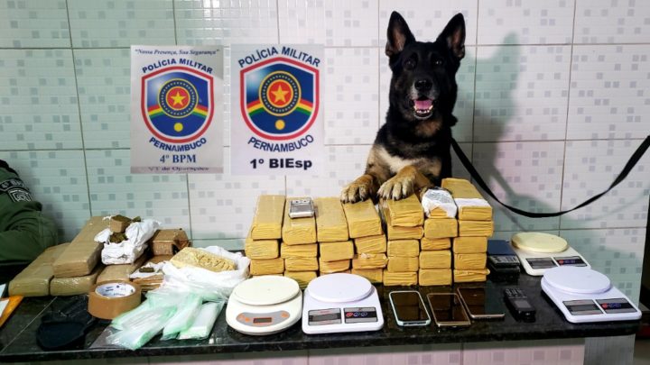 Operação da PM prende em flagrante acusado de tráfico e apreende entorpecentes em Caruaru e Agrestina-PE