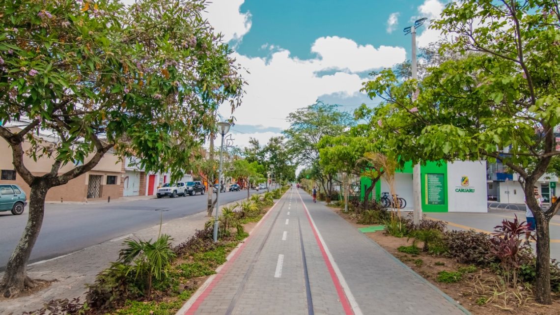 Prefeitura de Caruaru treina egressos do sistema prisional para atuarem como jardineiros no município Prefeitura de Caruaru treina egressos do sistema prisional para atuarem como jardineiros no município