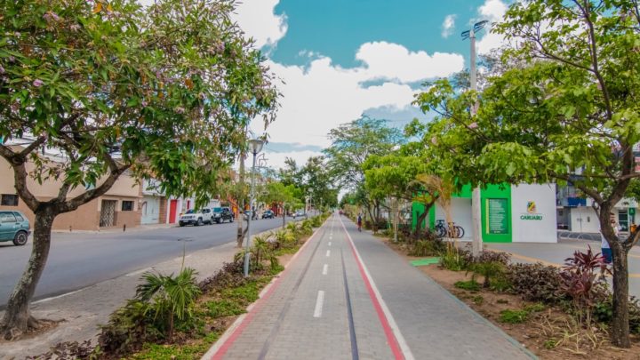 Prefeitura de Caruaru treina egressos do sistema prisional para atuarem como jardineiros no município