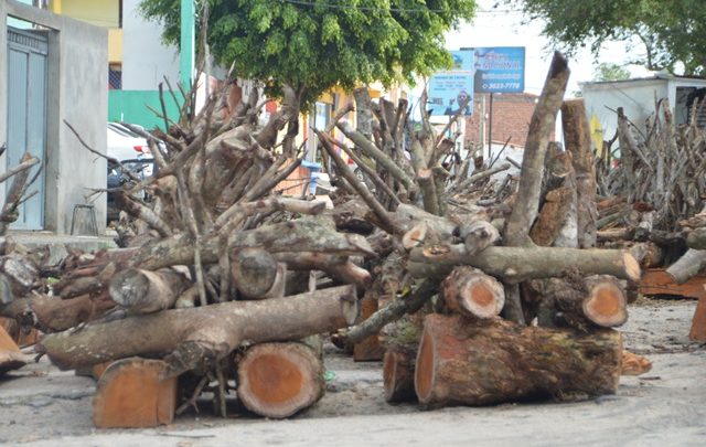 Prefeitura de Caruaru intensifica fiscalização em locais de venda de fogueiras no município
