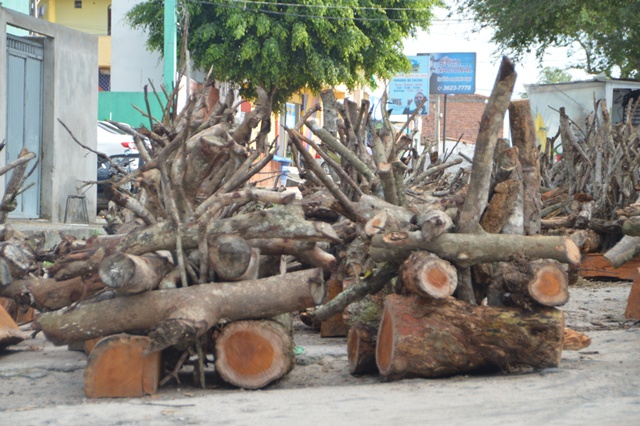 Prefeitura de Caruaru intensifica fiscalização em locais de venda de fogueiras no município