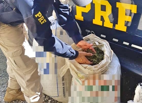 Quatro pessoas são detidas com 28 Kg de maconha em Caruaru