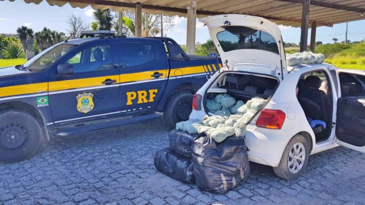 Automóvel carregado com maconha é apreendido após capotar em Pombos-PE