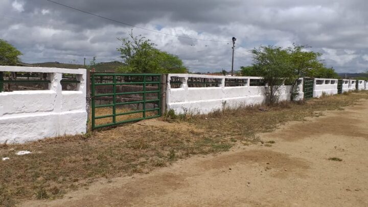 Feira de Gado de Caruaru será retomada nesta terça-feira (01)