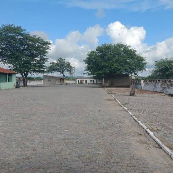 Prefeitura de Caruaru informa que a Feira de Gado permanece suspensa no município Prefeitura de Caruaru informa que a Feira de Gado permanece suspensa no município