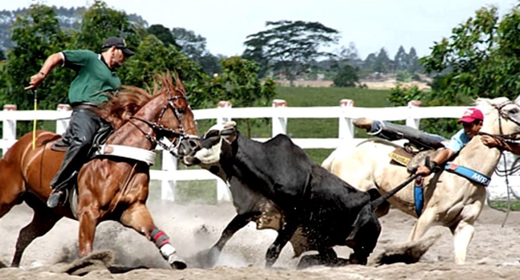 Liberados esportes individuais inclusive vaquejadas sem público a partir de segunda (10) em Pernambuco
