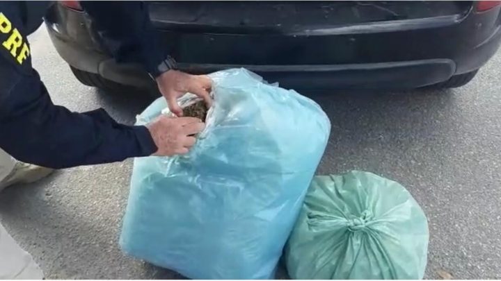 Motorista é detido com 13 Kg de maconha BR 232 em São Caitano