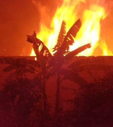 Defesa Civil alerta para crescente número de incêndios urbanos