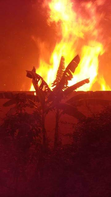 Defesa Civil alerta para crescente número de incêndios urbanos Defesa Civil alerta para crescente número de incêndios urbanos