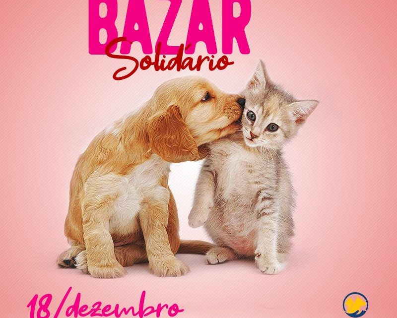 Apa Agrestina realiza 2° Bazar Solidário em prol dos animais de rua Apa Agrestina realiza 2° Bazar Solidário em prol dos animais de rua