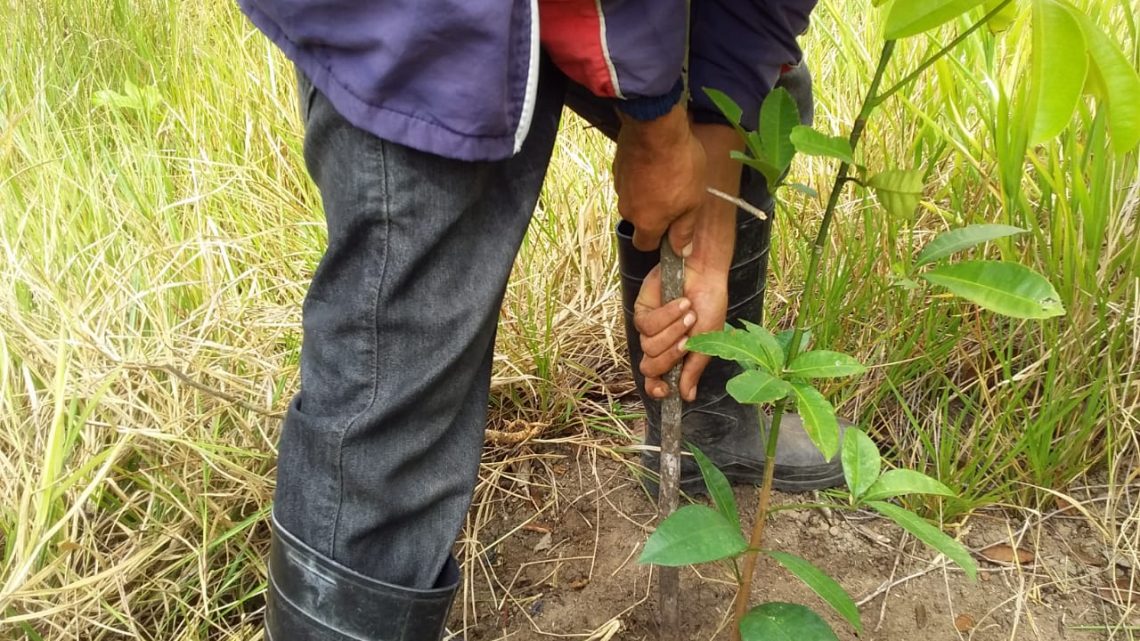 Pena alternativa leva cumpridor a preservar espécies em parque ecológico de Caruaru