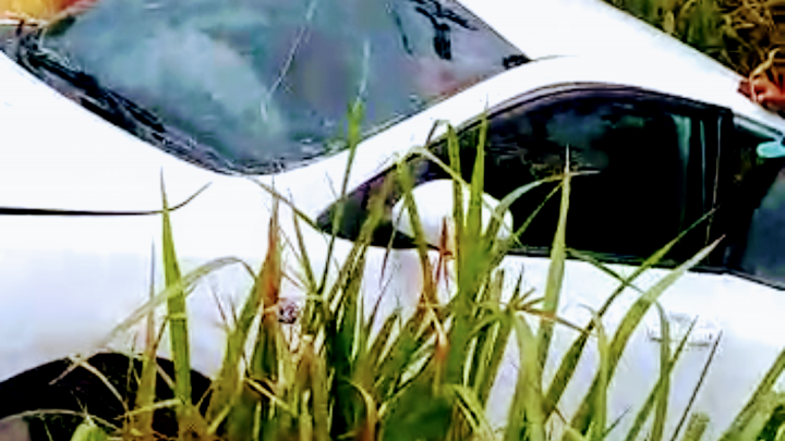 Grave acidente entre carro e van na Mata Sul de Pernambuco neste sábado (23)