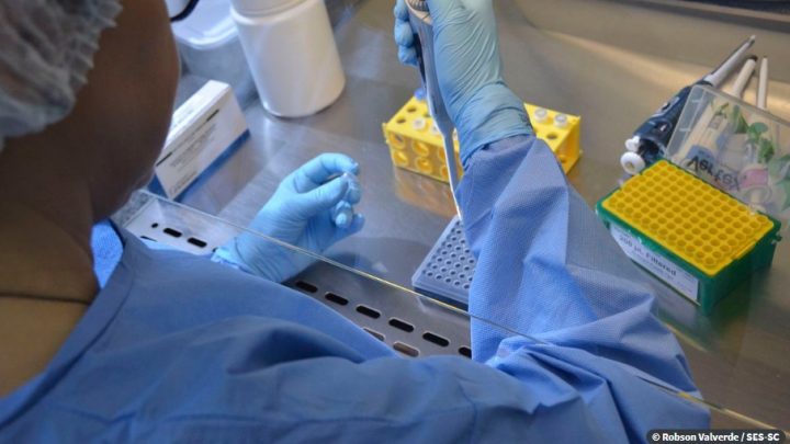 Pernambuco registra mais de 290 mil casos de covid-19 e mais de 250 mil recuperados até este domingo (21)