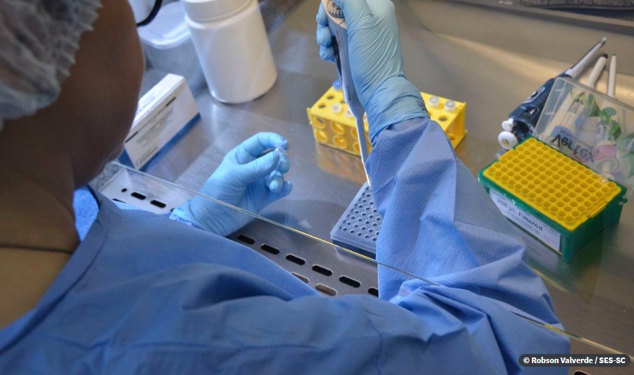 Pernambuco registra mais de 290 mil casos de covid-19 e mais de 250 mil recuperados até este domingo (21) Pernambuco registra mais de 290 mil casos de covid-19 e mais de 250 mil recuperados até este domingo (21)