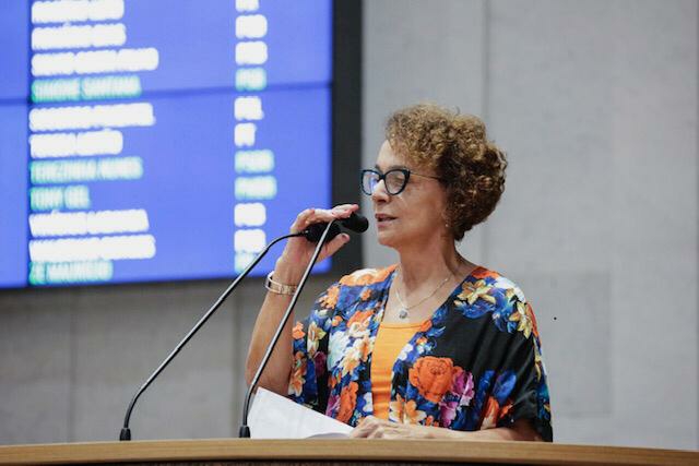 Laura Gomes é eleita vice-presidente da Comissão de Meio Ambiente e Sustentabilidade Laura Gomes é eleita vice-presidente da Comissão de Meio Ambiente e Sustentabilidade