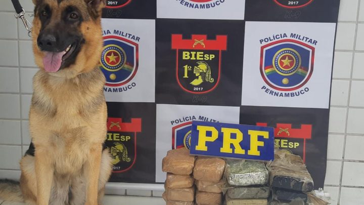 PRF apreende 10 Kg de maconha e 5 kg de cocaína, após motorista realizar ultrapassagem indevida na BR 232