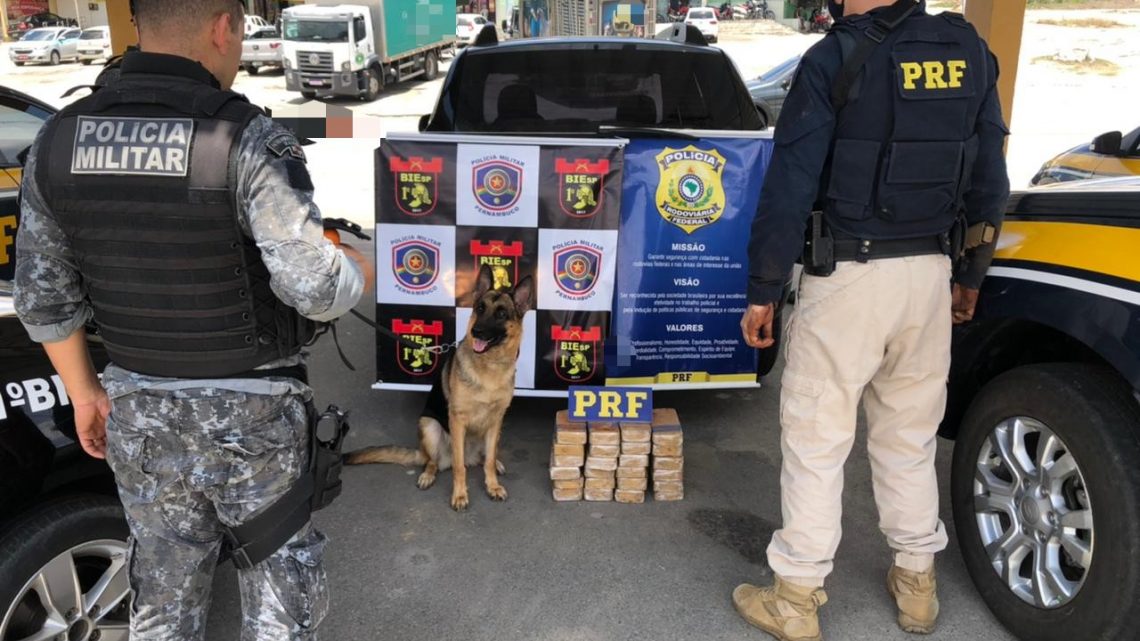 PRF e PM apreendem 24,5 Kg de pasta base de cocaína dentro de carroceria de utilitário em São Caitano PRF e PM apreendem 24,5 Kg de pasta base de cocaína dentro de carroceria de utilitário em São Caitano