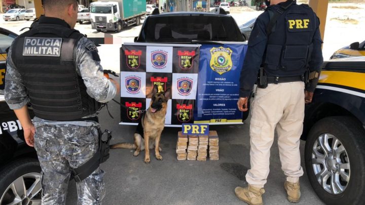 PRF e PM apreendem 24,5 Kg de pasta base de cocaína dentro de carroceria de utilitário em São Caitano