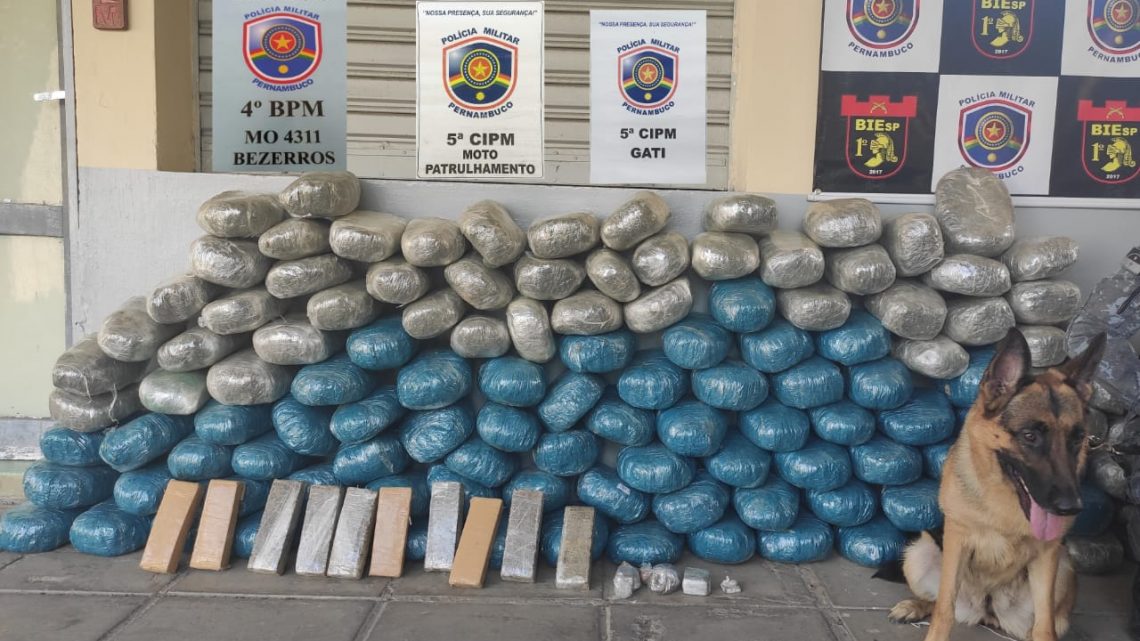 PM apreende 131 kg de maconha e R$ 6 mil em Gravatá