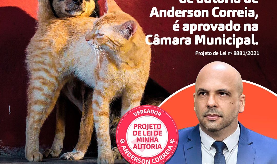 Projeto de Lei “Abril Laranja” de autoria de Anderson Correia, é aprovado na Câmara de Caruaru Projeto de Lei “Abril Laranja” de autoria de Anderson Correia, é aprovado na Câmara de Caruaru