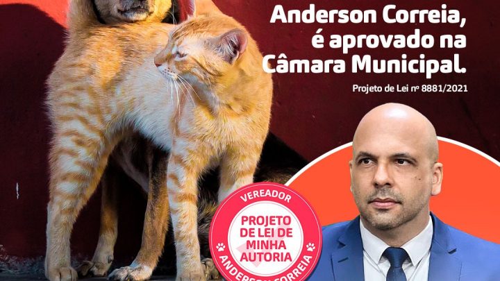 Projeto de Lei “Abril Laranja” de autoria de Anderson Correia, é aprovado na Câmara de Caruaru