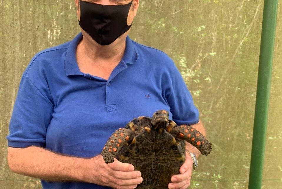 Jorge Quintino solicita implantação de educadores ambientais, entre outras melhorias para Serra dos Cavalos Jorge Quintino solicita implantação de educadores ambientais, entre outras melhorias para Serra dos Cavalos