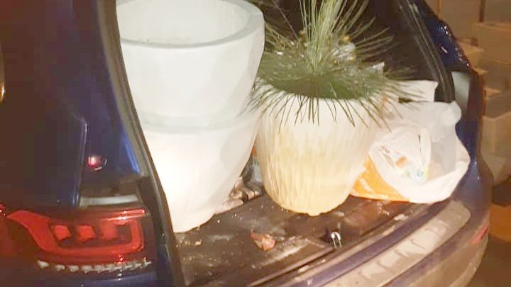 Homem que estava em carro de luxo avaliado em R$ 300 mil é detido por suspeita de furtar loja de plantas